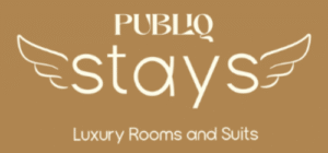 publiq website logo(1)