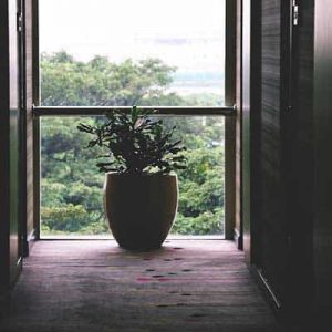 Slide3 Free Img 300x300 1